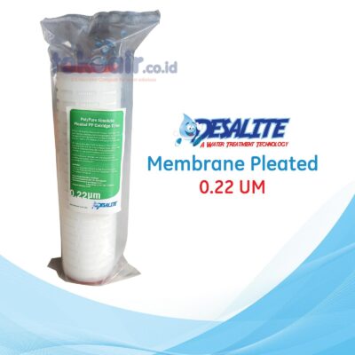 PP Pleated Filter Catridge 10 Inch Absolute 0.22um Desalite